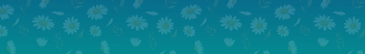 Frau Hippe | LIMITED BY HIPPE